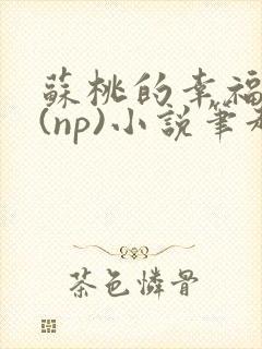 苏桃的幸福生活(np)小说笔趣阁沐沐