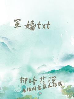 军婚txt