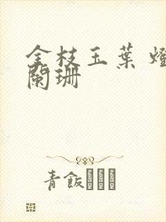 金枝玉叶 灯火阑珊