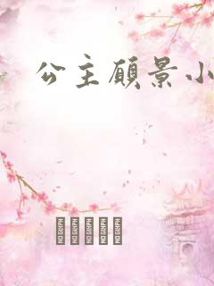公主愿景小说