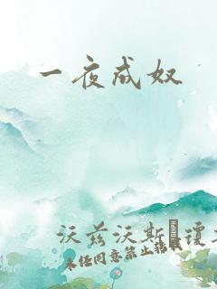 一夜成奴