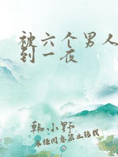 被六个男人躁J到一夜