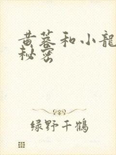 黄蓉和小龙女的秘密