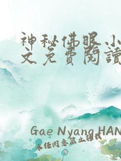 神秘佛眼小说全文免费阅读