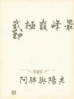 武极巅峰最新章节