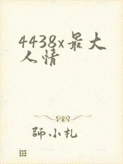4438x最大人情