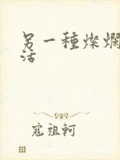 另一种灿烂的生活