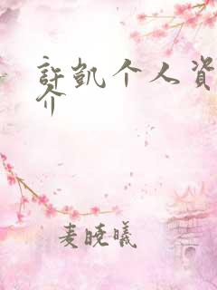 许凯个人资料简介