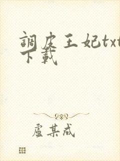 调皮王妃txt下载