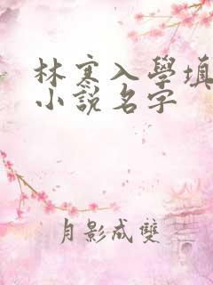 林寒入学填未婚小说名字