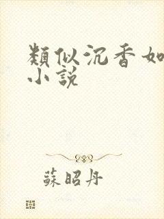 类似沉香如屑的小说