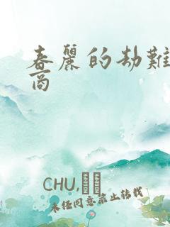 春丽的劫难军火商