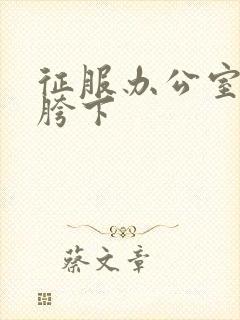 征服办公室杨丽胯下