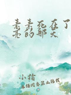 素素死在了最漂亮的那天