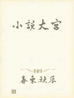 小说大宫