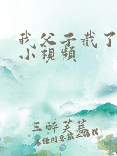 我父子截了一段小视频