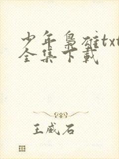 少年枭雄txt全集下载