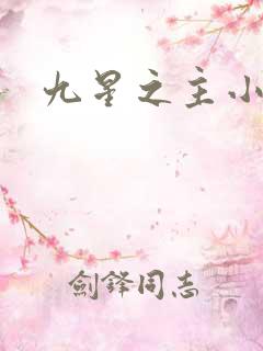 九星之主小说