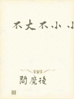 不大不小 小说