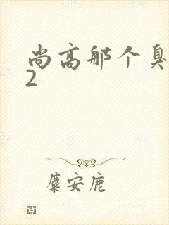 尚高那个臭小子2
