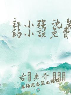 许小强 沈丽娟的小说免费阅读