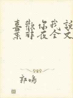 喜欢你我说了算叶非夜全文免费阅读