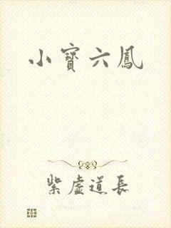 小宝六凤