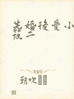 先婚后爱小说梦筱二