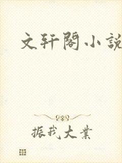 文轩阁小说网