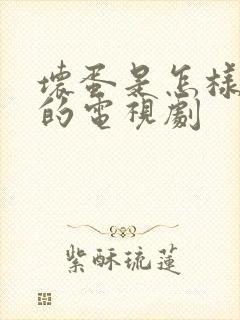 坏蛋是怎样变成的电视剧