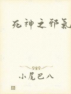 死神之邪气一护