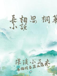 长相思 桐华 小说
