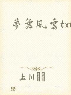 梦舞风云txt