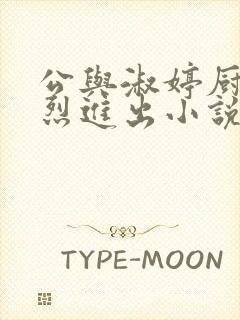 公与淑婷厨房猛烈进出小说