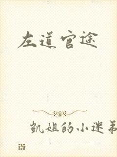 左道官途