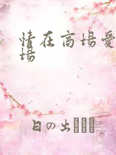 情在商场爱在官场