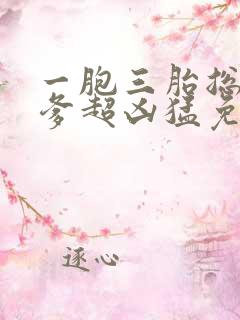 一胞三胎总裁爹爹超凶猛免费阅读