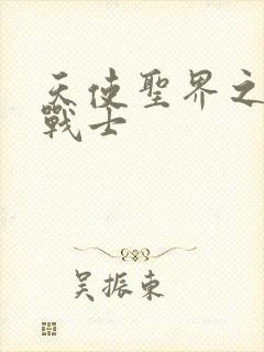 天使圣界之神之战士