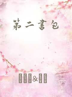 第二书包