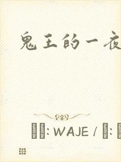 鬼王的一夜弃妃