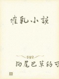催乳小说