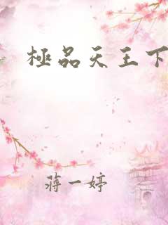 极品天王下载