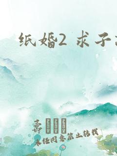 纸婚2 求子记