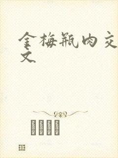 金梅瓶肉交白话文