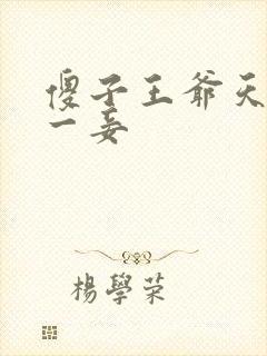 傻子王爷天下第一妾