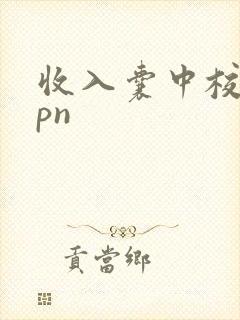 收入囊中校园hpn