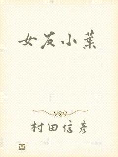 女友小叶