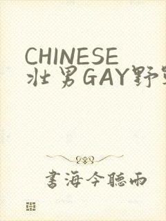 CHINESE壮男GAY野战强迫TUBE