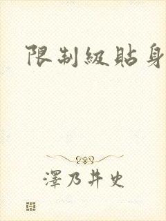 限制级贴身高手