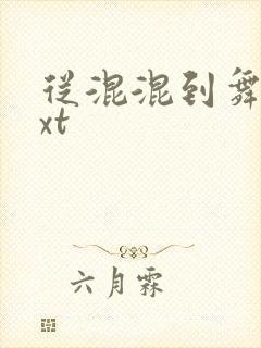 从混混到舞王txt